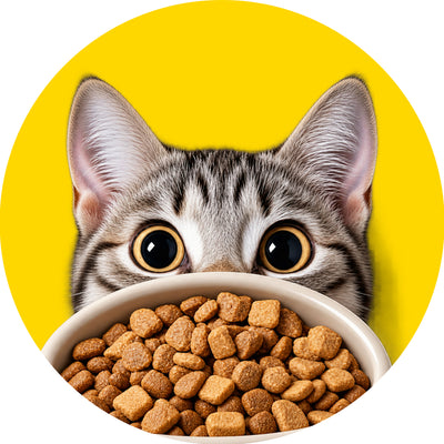Pet Supplies