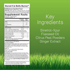 Irwin Naturals Stored-Fat Belly Burner Fat Metabolism | 72 Count 2-Pack